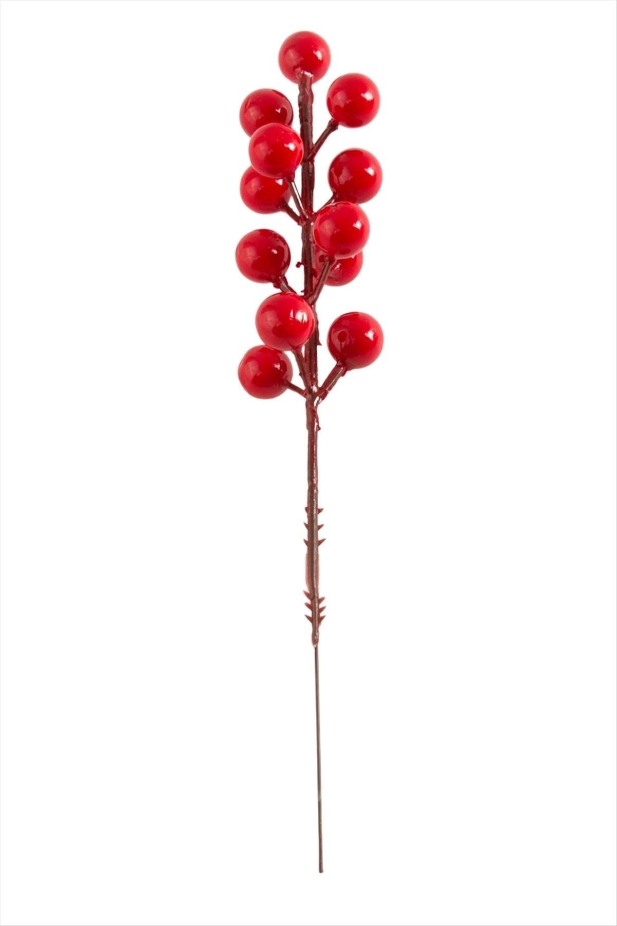Kokina Dal Yılbaşı Süsü 23 cm
