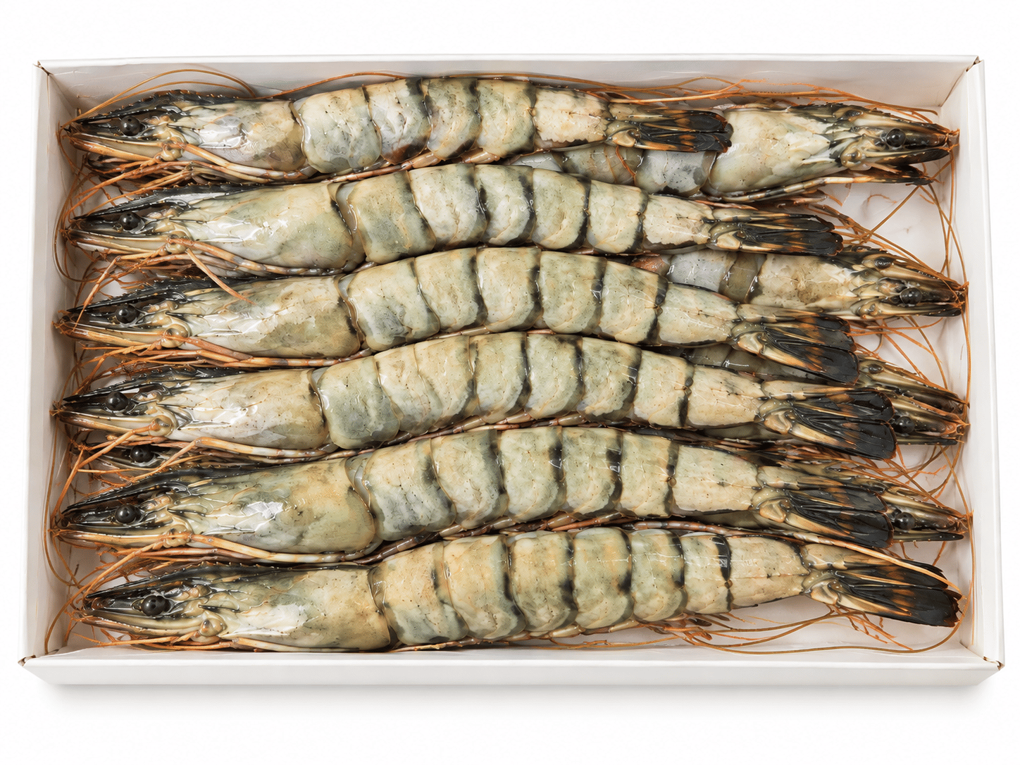 8/12  Black Tiger Karides - 10kg 