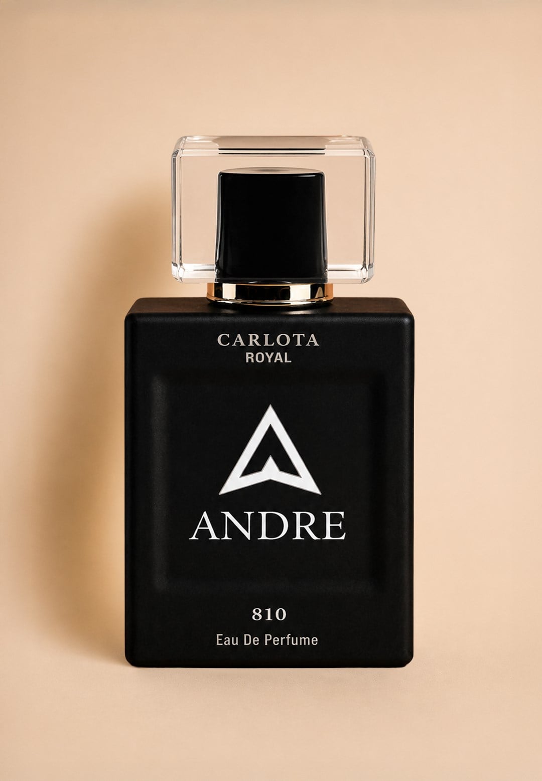 Andre Erkek Parfüm 50ml