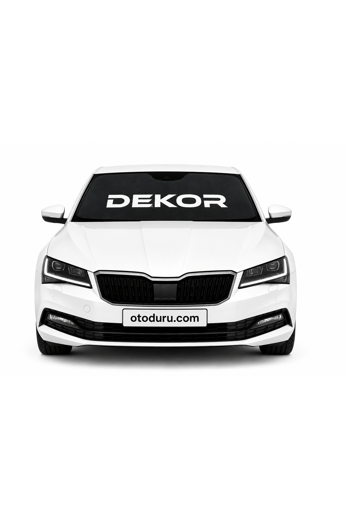OEM 