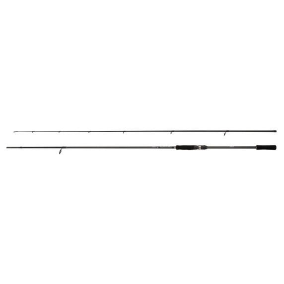 Shimano Kamış Bassterra A Seabass Spinning 2,74m 9'0