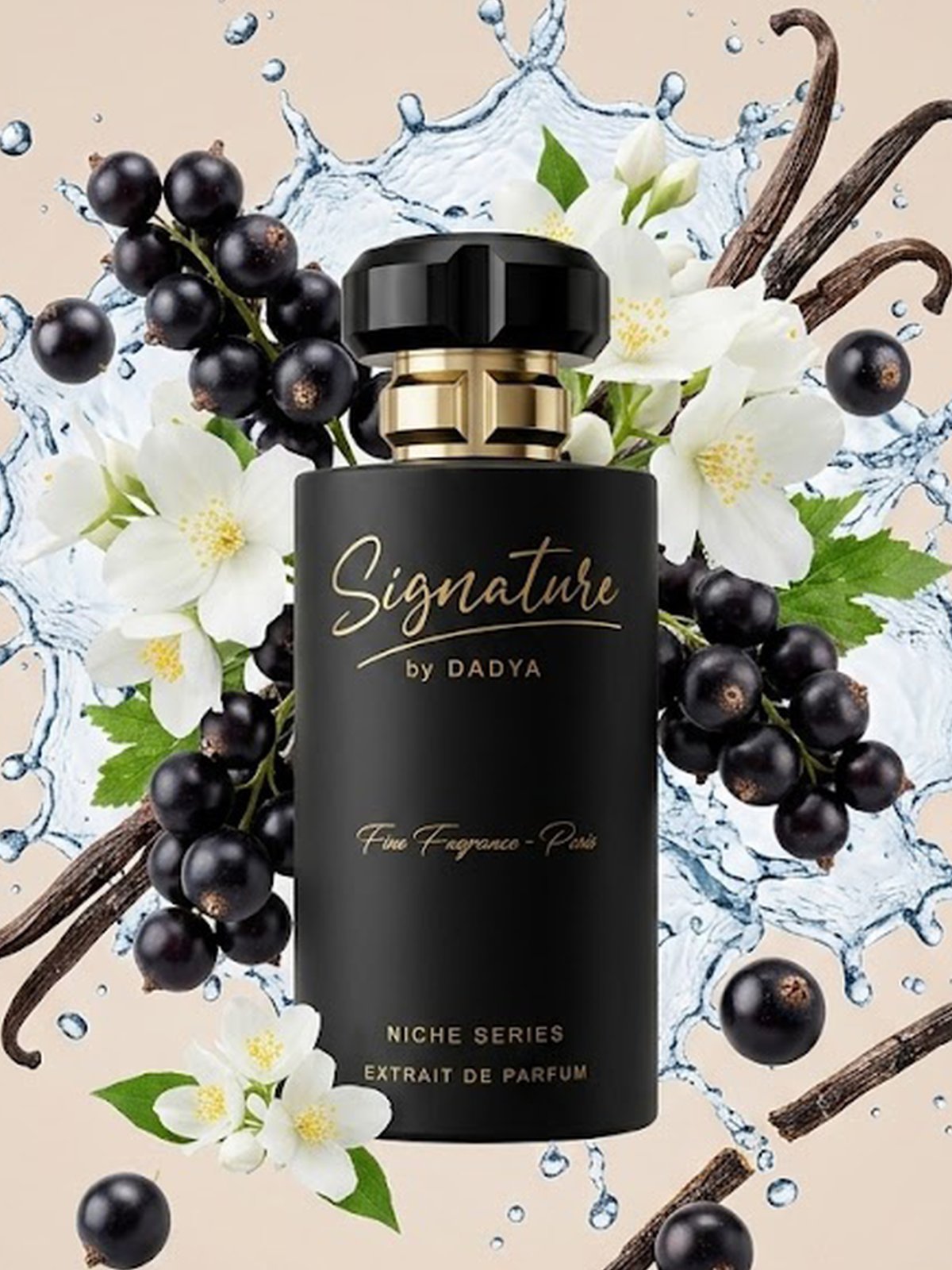 Sıgnature Nıche Serıes