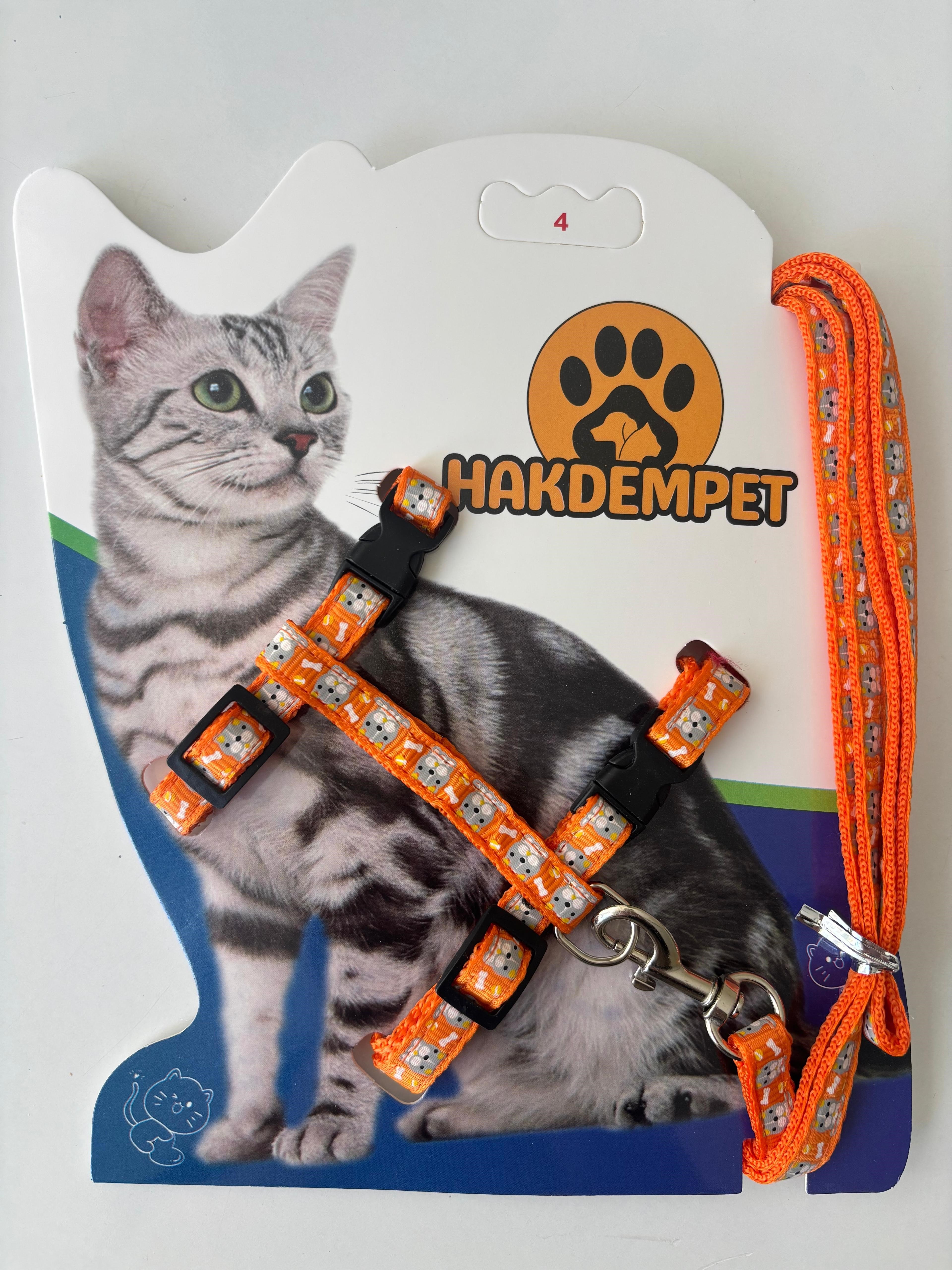 KEDİ BEL TASMASI AYICIK DESENLİ