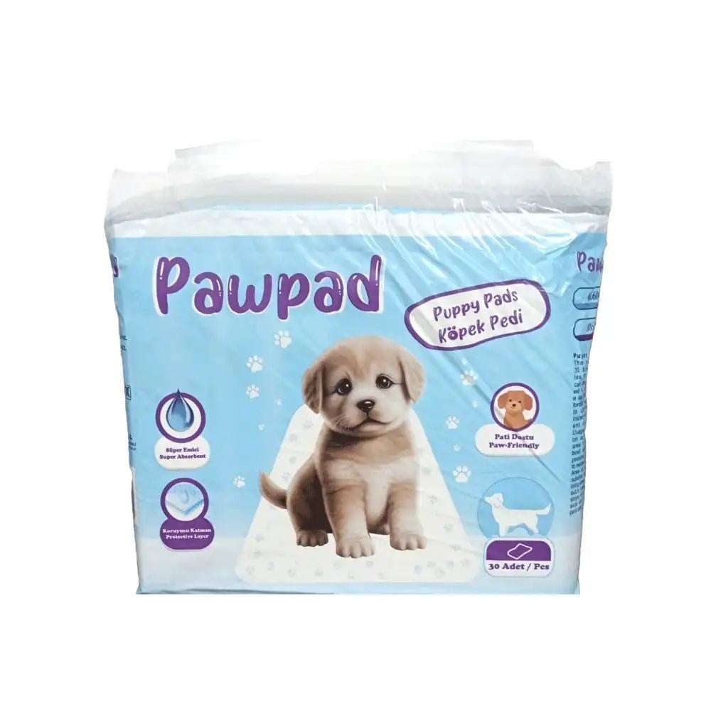 KÖPEK EĞİTİM ÇİŞ PEDİ 