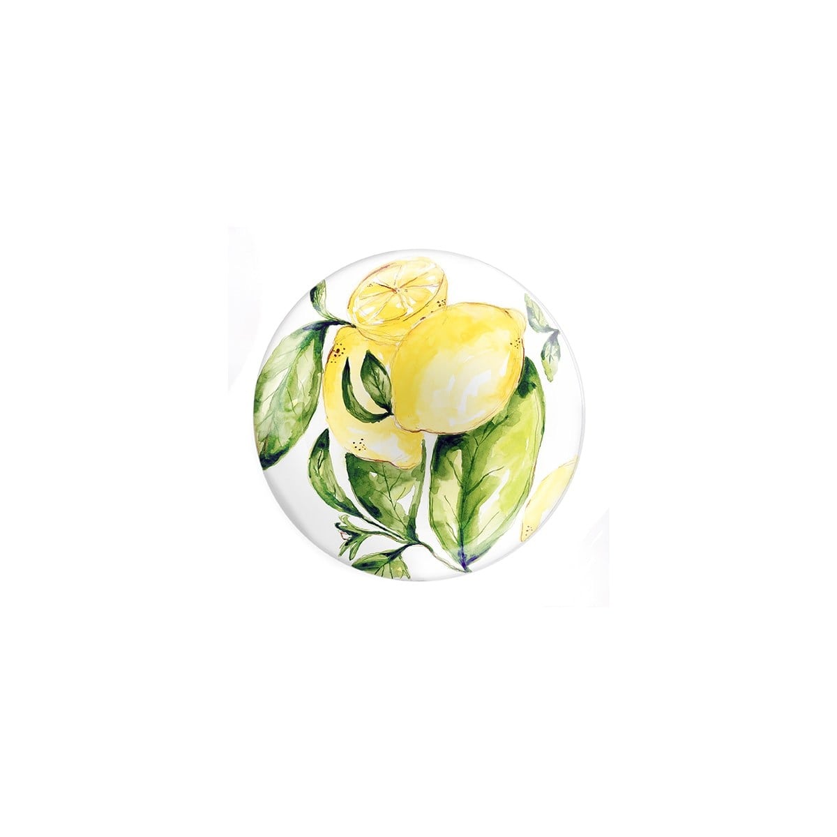 Citrus Collection 4'lü Melamin Küçük Tabak Seti
