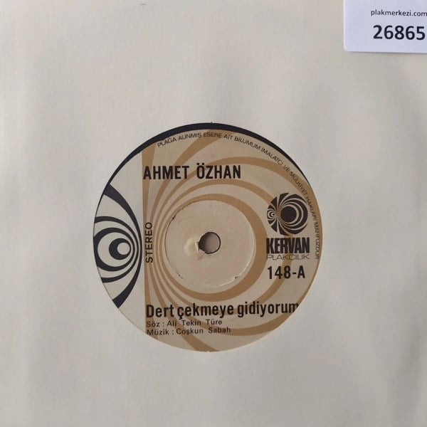 ahmet-ozhan-dert-cekmeye-gidiyorum-vak-d-4482.jpg