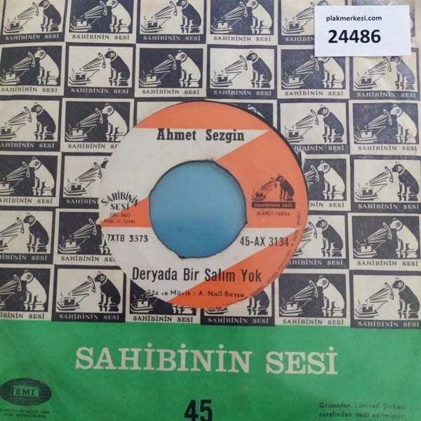 ahmet-sezgin-deryada-bir-salim-yok-cal-f-9fe4.jpg