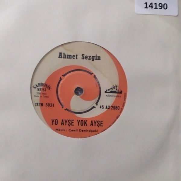ahmet-sezgin-yo-ayse-yok-aysedurnam-yu-3-c1de.jpg