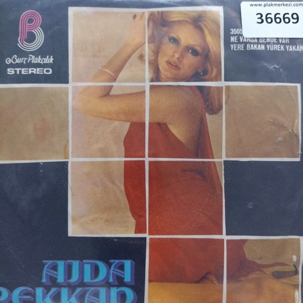 ajda-pekkan-ne-varsa-bende-var-yere-ba-35-95f.jpg