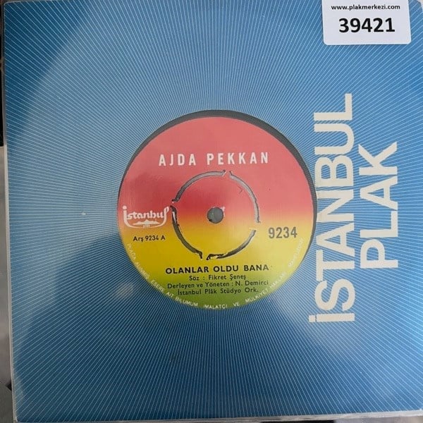 ajda-pekkan-olanlar-oldu-bana-capkin-s-fb6-b4.jpg