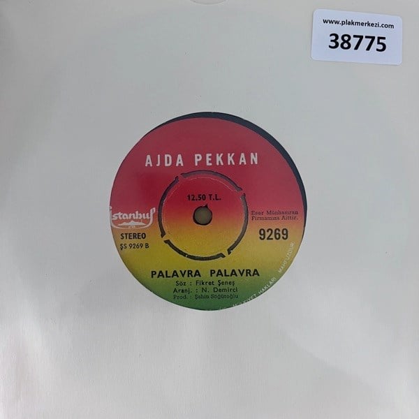ajda-pekkan-palavra-palavra-seninleyim--49d2-.jpg
