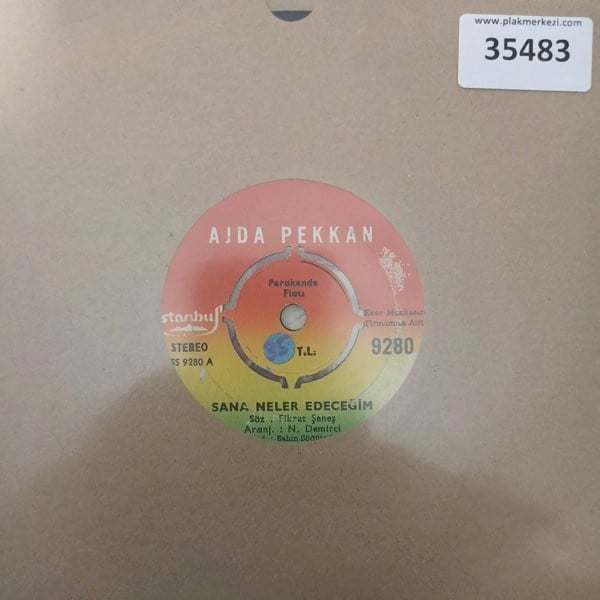ajda-pekkan-sana-neler-edecegim-haram--4c9d-4.jpg