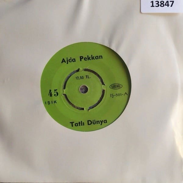ajda-pekkan-tatli-dunya-ben-bir-koylu--6cfe-4.jpg