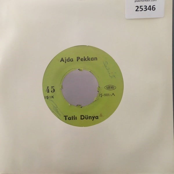 ajda-pekkan-tatli-dunya-ben-bir-koylu--9ce3e8.jpg