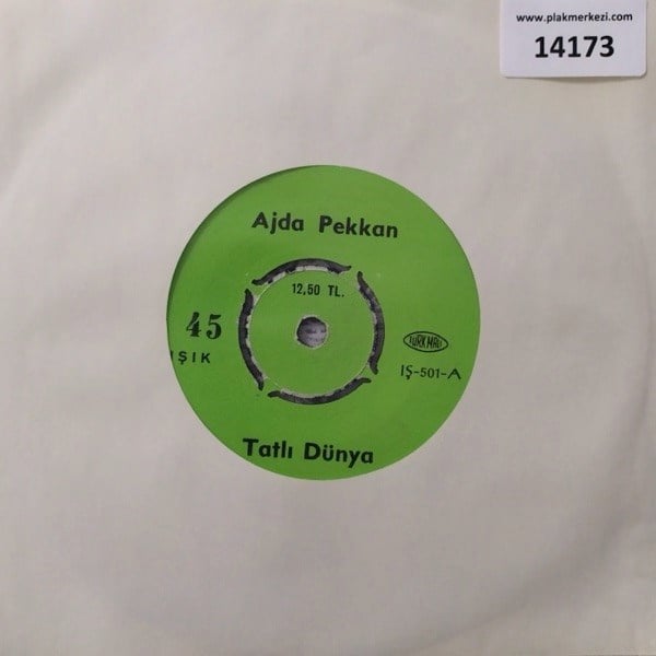 ajda-pekkan-tatli-dunyaben-bir-koylu-k-df5-46.jpg