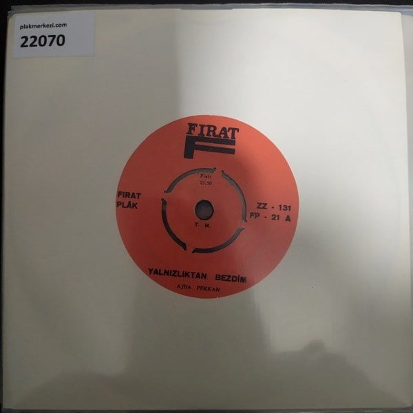 ajda-pekkan-yalnizliktan-bezdim-gel-fi-9b1b-0.jpg
