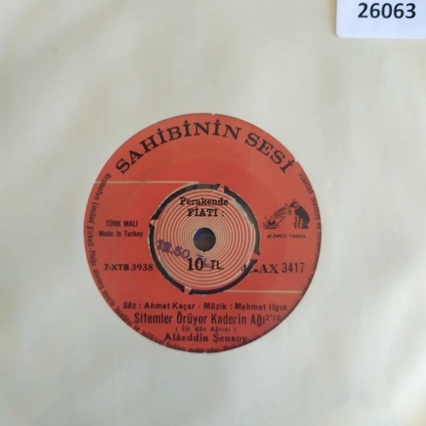 alaeddin-sensoy-sitemler-oruyor-kaderi--a009-.jpg