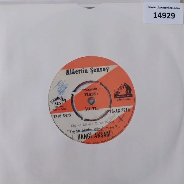 alaettin-sensoy-hangi-aksam-leylam-tr4--e2f52.jpg