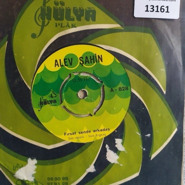 alev-sahin-firsat-sende-arkadas-ben-ki-4f11-b.jpg