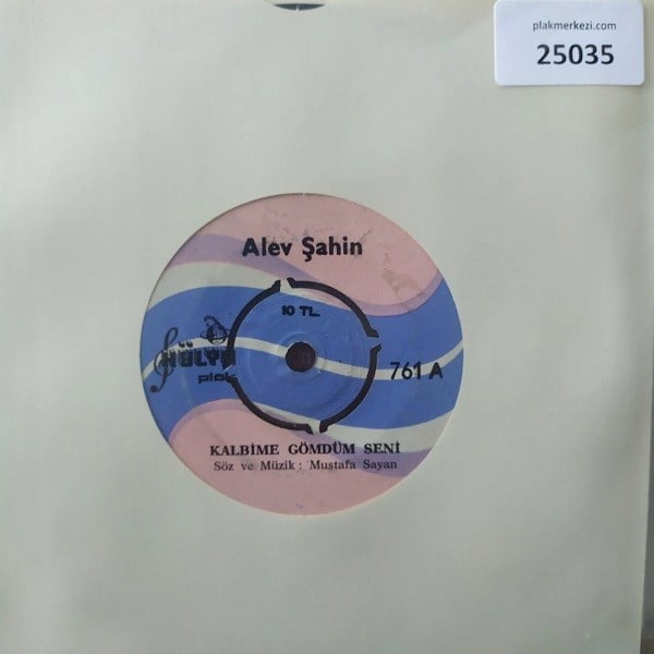 alev-sahin-kalbime-gomdum-seni-kaybola-66-4cb.jpg