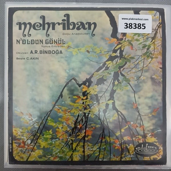 ali-riza-binboga-mehriban-noldun-gonul-b-6fd8.jpg