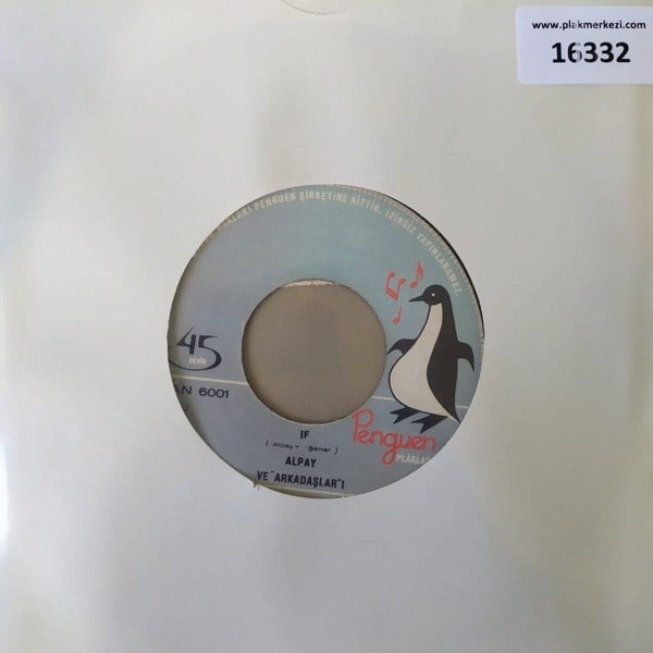 alpay-ve-arkadaslari-estrella-del-mar--da9e-4.jpg