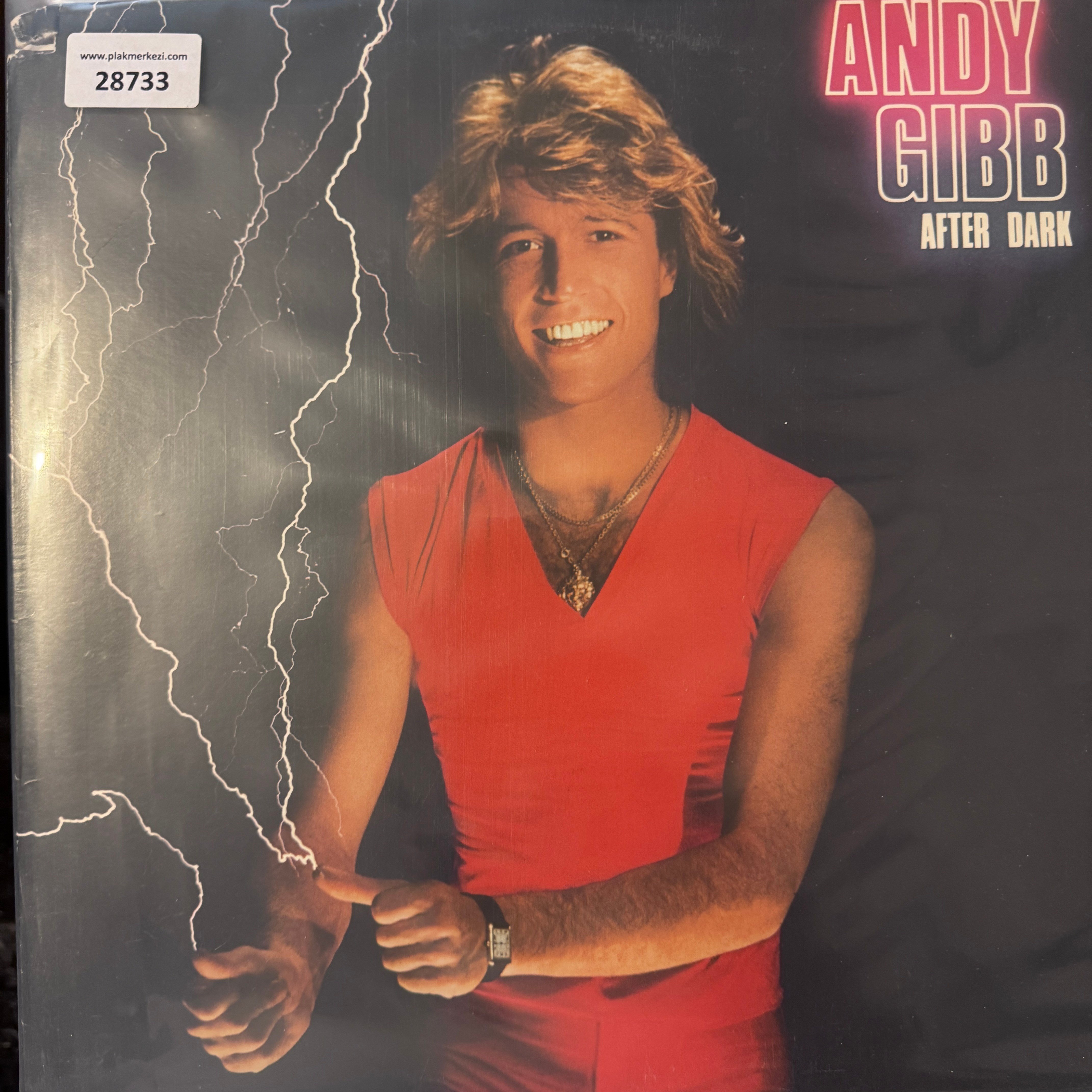 andy-gibb-after-dark-insert-var-1980-a-4db-af.jpg
