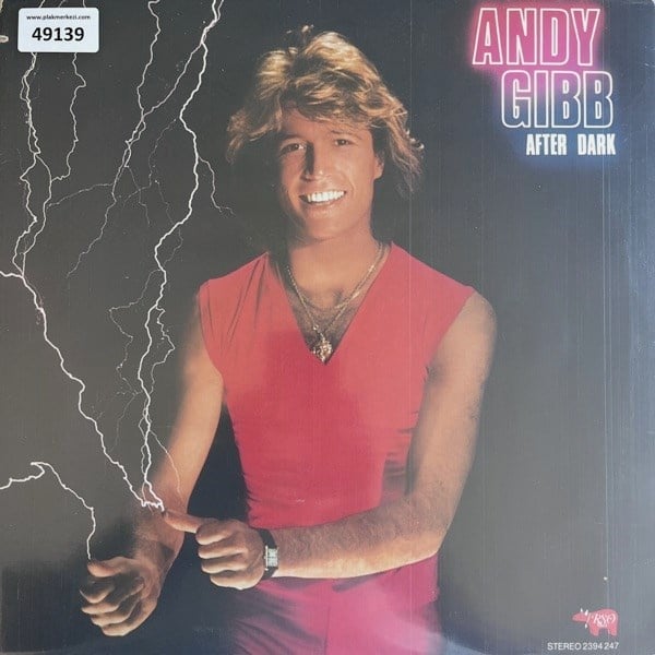 andy-gibb-after-dark-insert-var-1980-a-7a303f.jpg