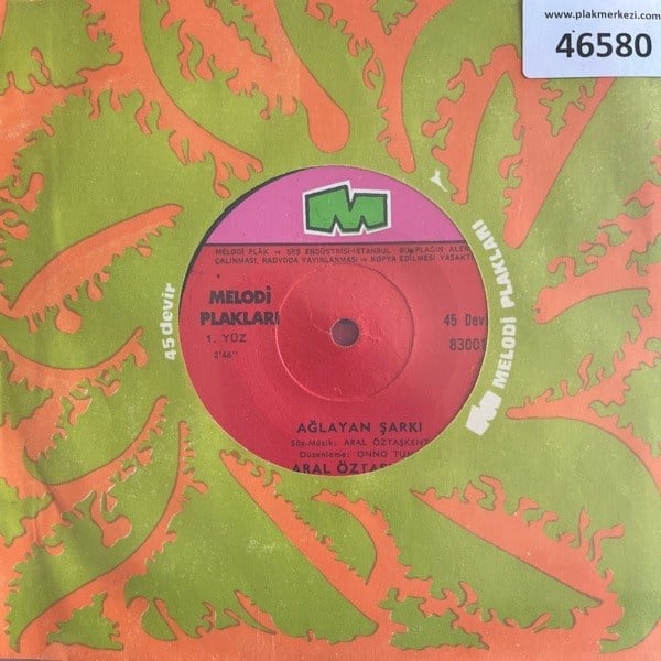 aral-oztaskent-aglayan-sarki-ozlem-tr4-65b211.jpg