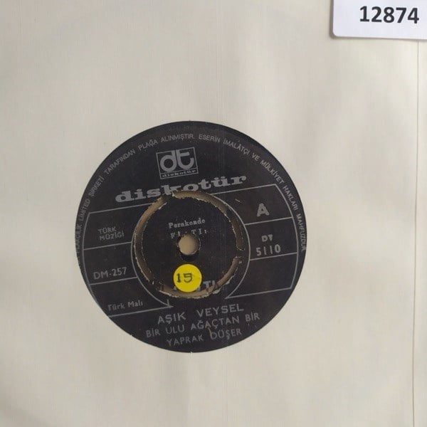 asik-veysel-bir-ulu-agactan-bir-yaprak-5e489-.jpg