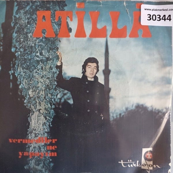 atilla-vermediler-ne-yapayim-deliyim-t-2f6-51.jpg