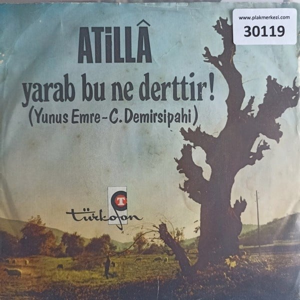 atilla-vermediler-ne-yapayim-deliyim-t-514ab0.jpg