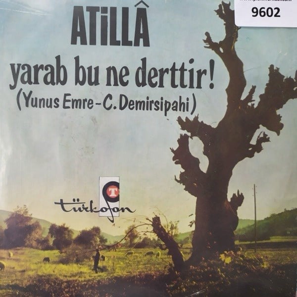 atilla-vermediler-ne-yapayimdeliyim-tr-d6-bf5.jpg