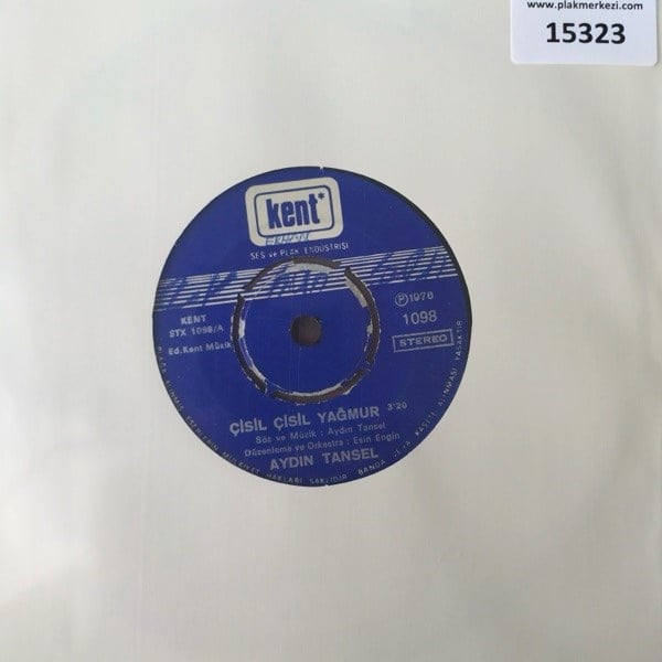 aydin-tansel-cisil-cisil-yagmur-bu-eng-862b5a.jpg