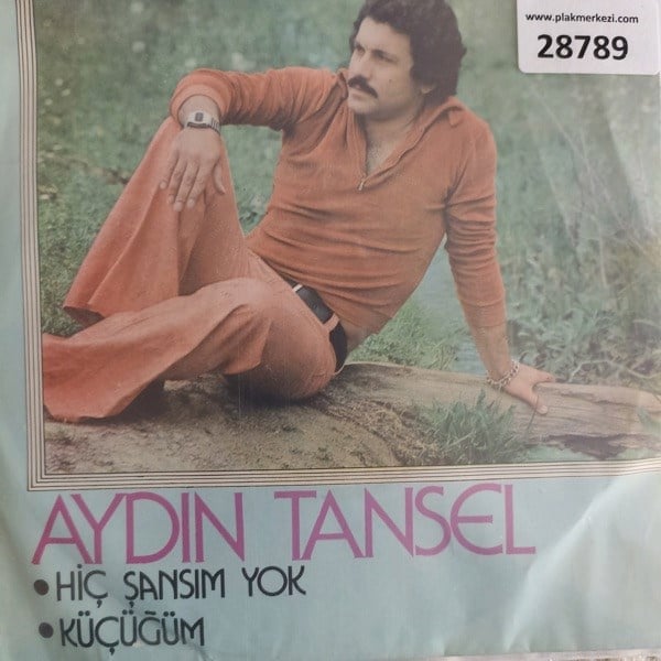 aydin-tansel-hic-sansim-yok-kucugum-tr-7f8b6d.jpg