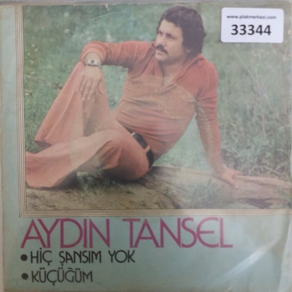aydin-tansel-hic-sansim-yok-kucugum-tr-8d8-41.jpg