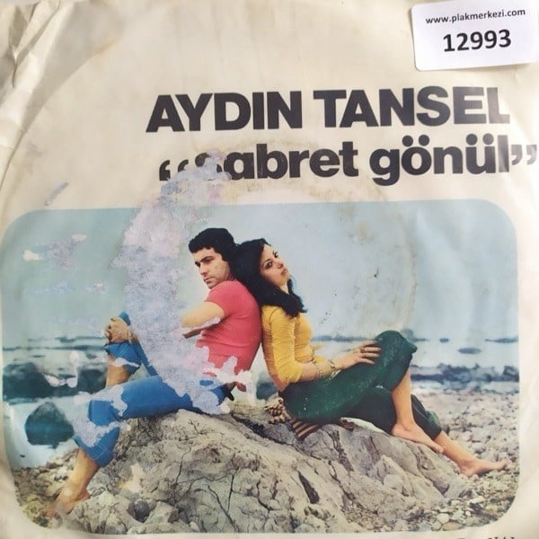aydin-tansel-sabret-gonulbakisima-kanm-a8c617.jpg
