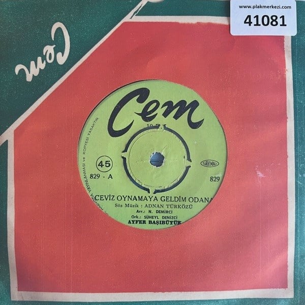 ayfer-basibuyuk-ceviz-oynamaya-geldim--d0ab5d.jpg