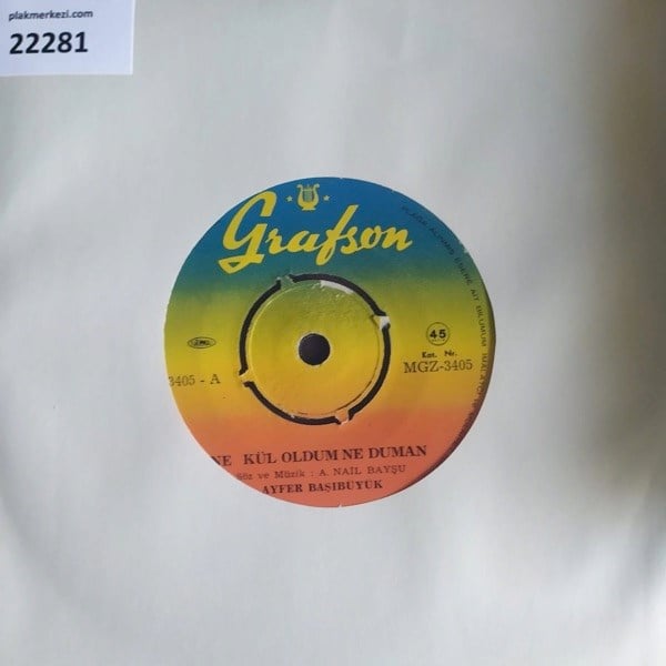 ayfer-basibuyuk-ne-kul-oldum-ne-duman--c52201.jpg