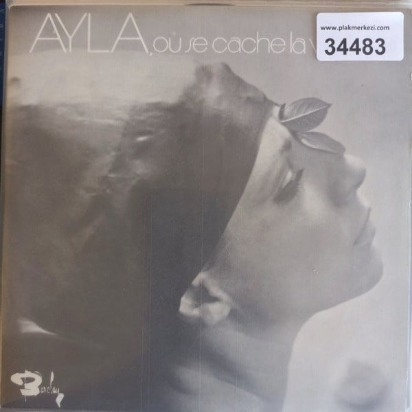ayla-algan-ou-se-cache-la-verite-voila-50f3fd.jpg