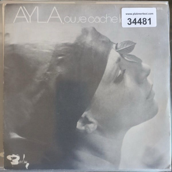 ayla-algan-ou-se-cache-la-verite-voila-b3-b4f.jpg