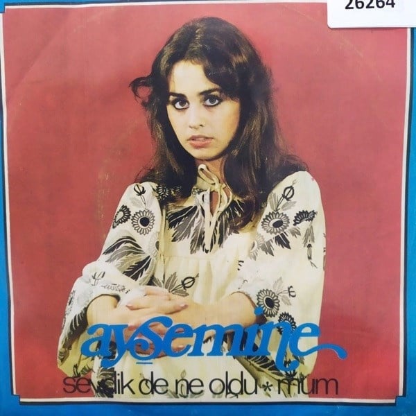 ayse-mine-sevdik-de-ne-oldu-mum-tr45k--9fca30.jpg