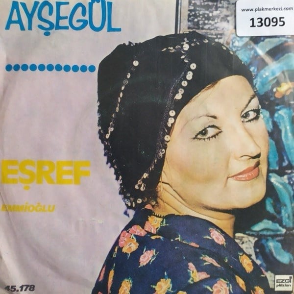 aysegul-esrefemmioglu-tr45k-13095-6b-457.jpg