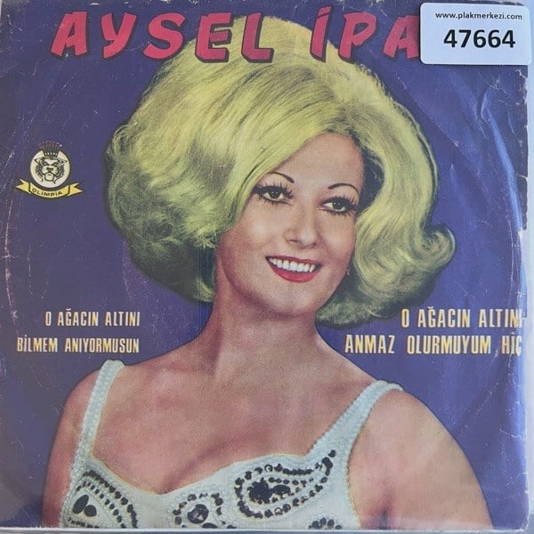 aysel-ipar-o-agacin-alti-o-agacin-alti-354942.jpg