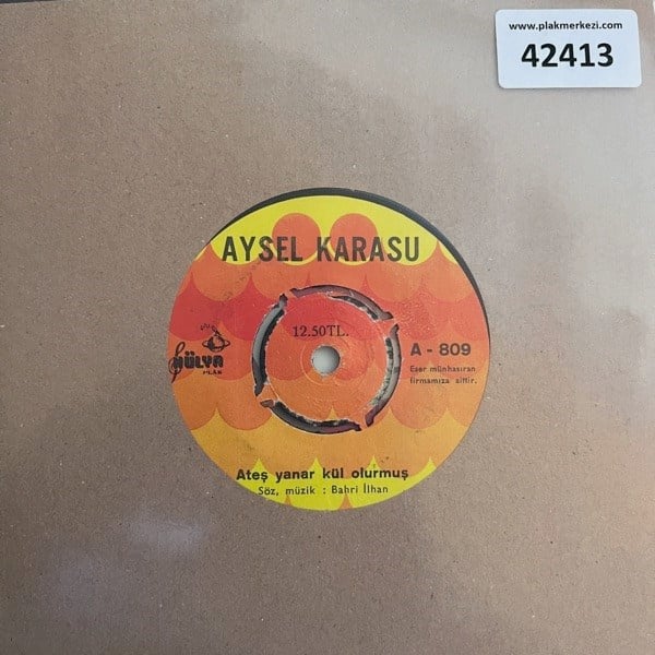aysel-karasu-ates-yanar-kul-olurmus-ik-2ce-b0.jpg