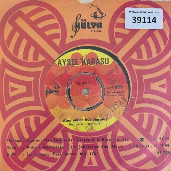 aysel-karasu-ates-yanar-kul-olurmus-ik-8a-46c.jpg
