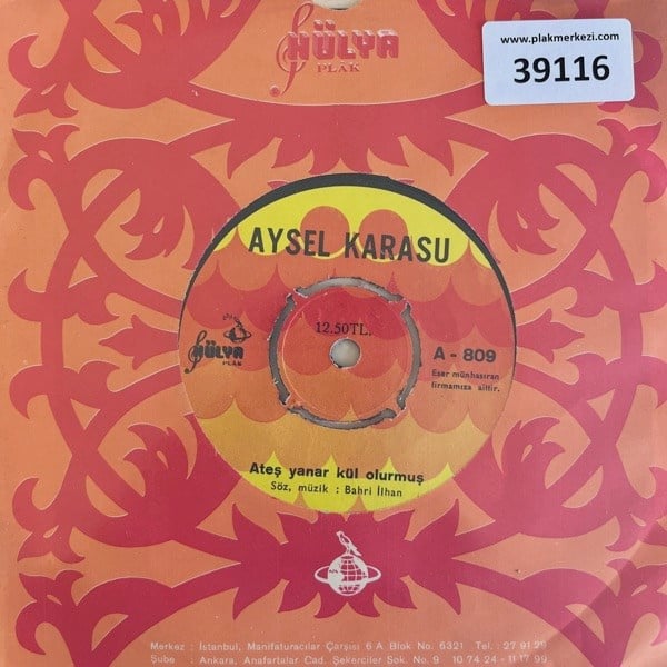 aysel-karasu-ates-yanar-kul-olurmus-ik-f47-5e.jpg