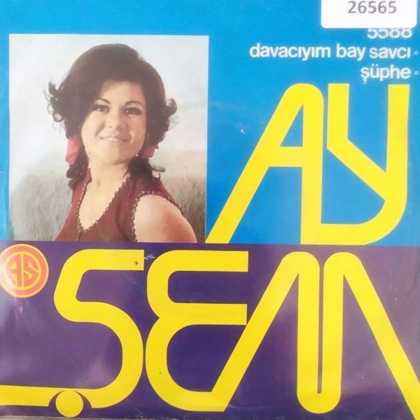 aysem-davaciyim-bay-savci-suphe-tr45k--67e29a.jpg
