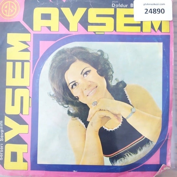 aysem-doldur-be-meyhaneci-serseri-sevg-2557f8.jpg