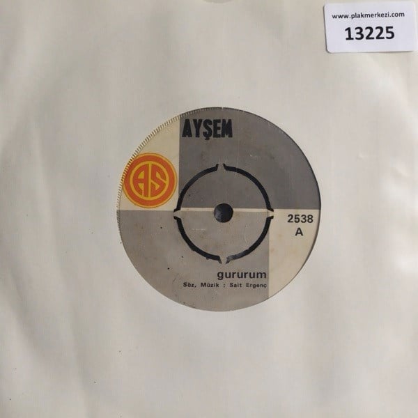 aysem-gururum-sadaka-istemiyorum-sende-f0-bbd.jpg